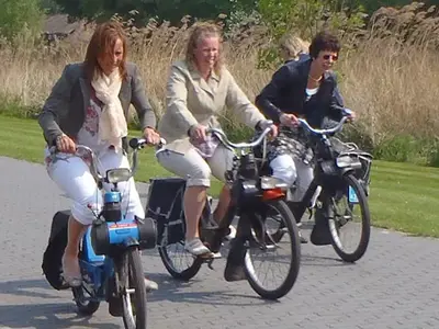 Solex